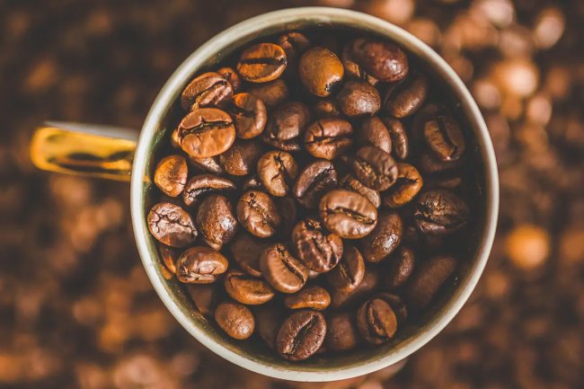 Kopi Luwak Padang: Kenikmatan Kopi Premium