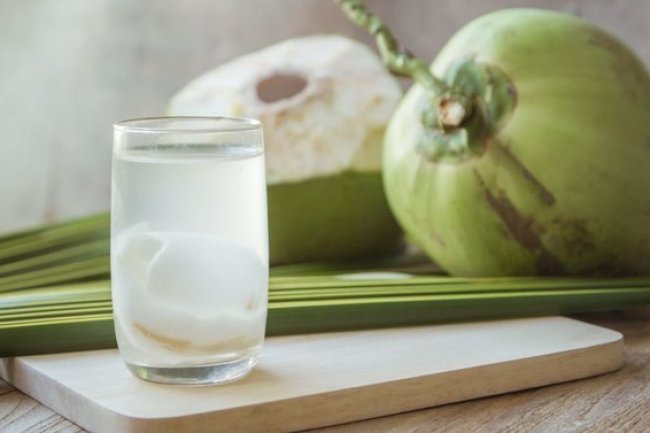 Es Kelapa Muda untuk Catering Tropis
