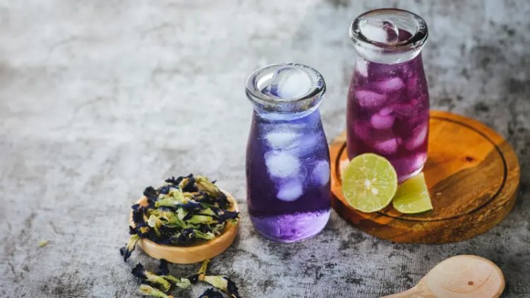 Teh Bunga Telang: Minuman Herbal dengan Warna Menarik