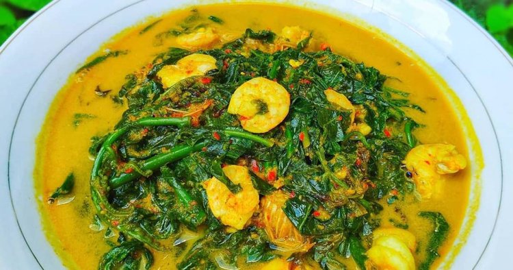 Gulai Pakis: Kenapa Sayur Ini Banyak Ditemukan di Warung Padang?