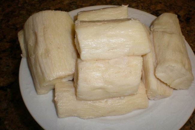 Tape Singkong: Proses Fermentasi dalam Cita Rasa Lokal